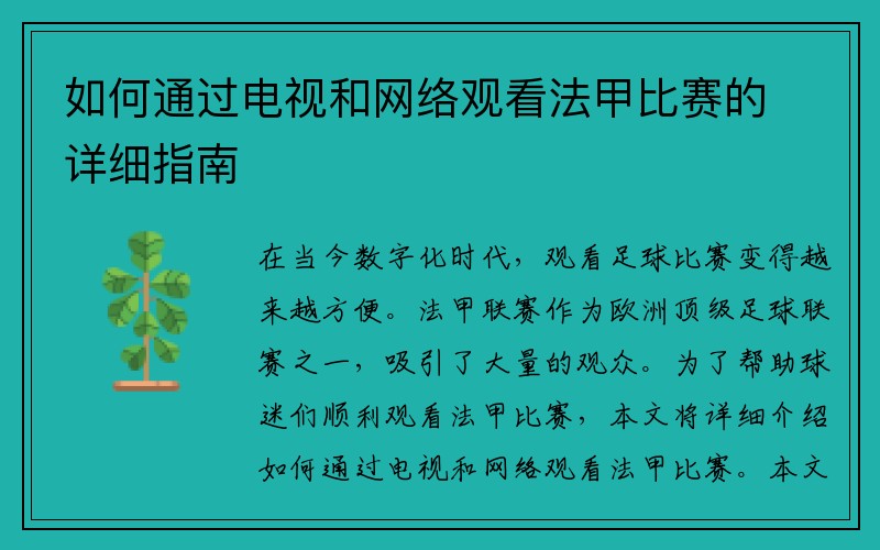 如何通过电视和网络观看法甲比赛的详细指南